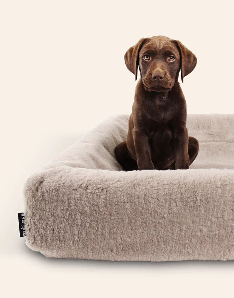 BIA Bed Fleece Hoes voor Hondenmand Taupe