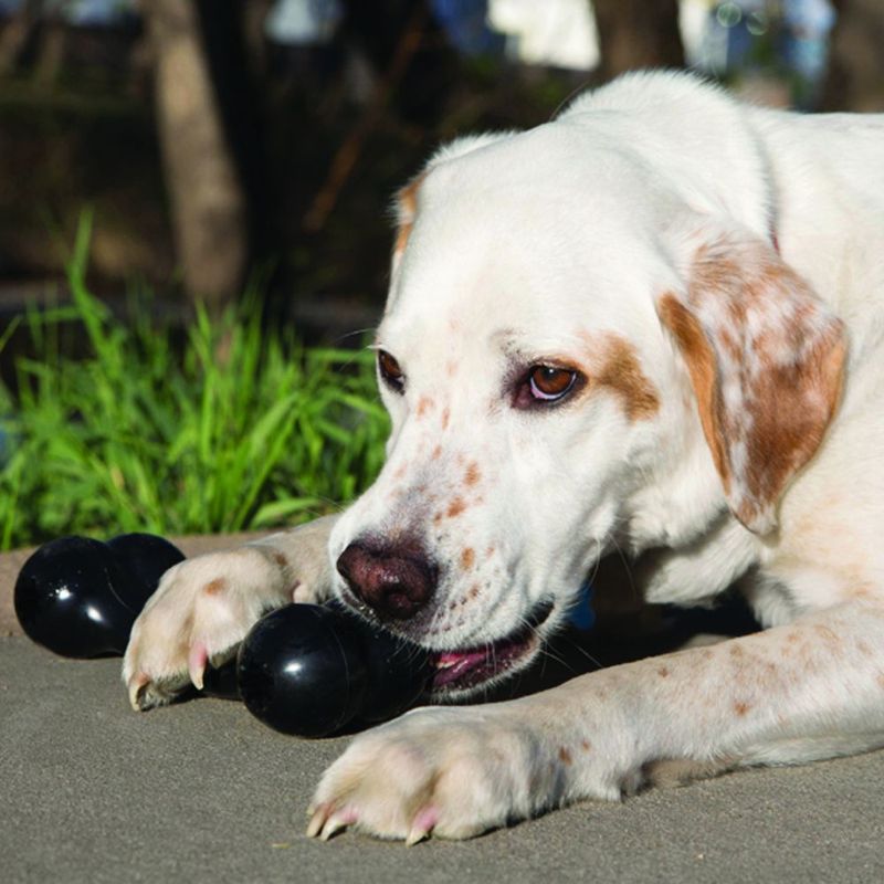 Kong Extreme Goodie Bone – Sterk Kauwspeelgoed voor Honden