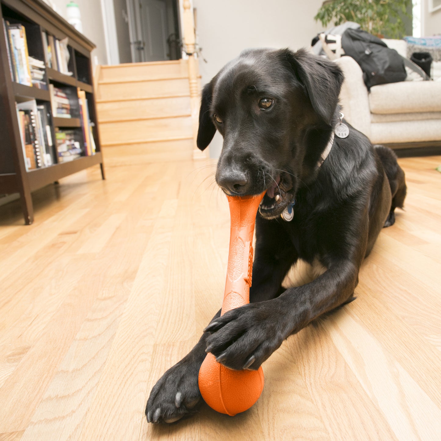 Kong SqueakStix – Stevig Piepspeelgoed voor Honden