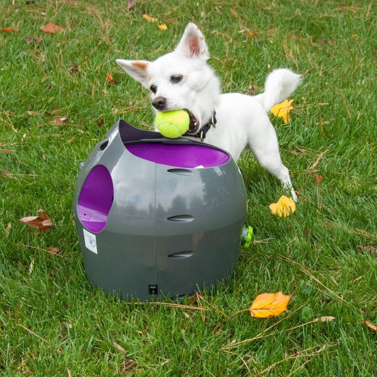 PetSafe Automatic Ball Launcher – Automatische Ballenwerper voor Honden