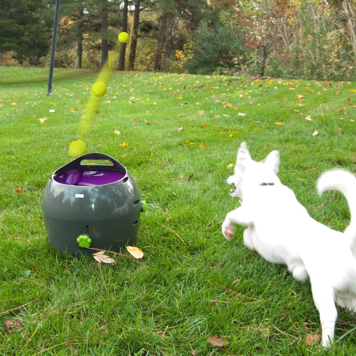 PetSafe Automatic Ball Launcher – Automatische Ballenwerper voor Honden