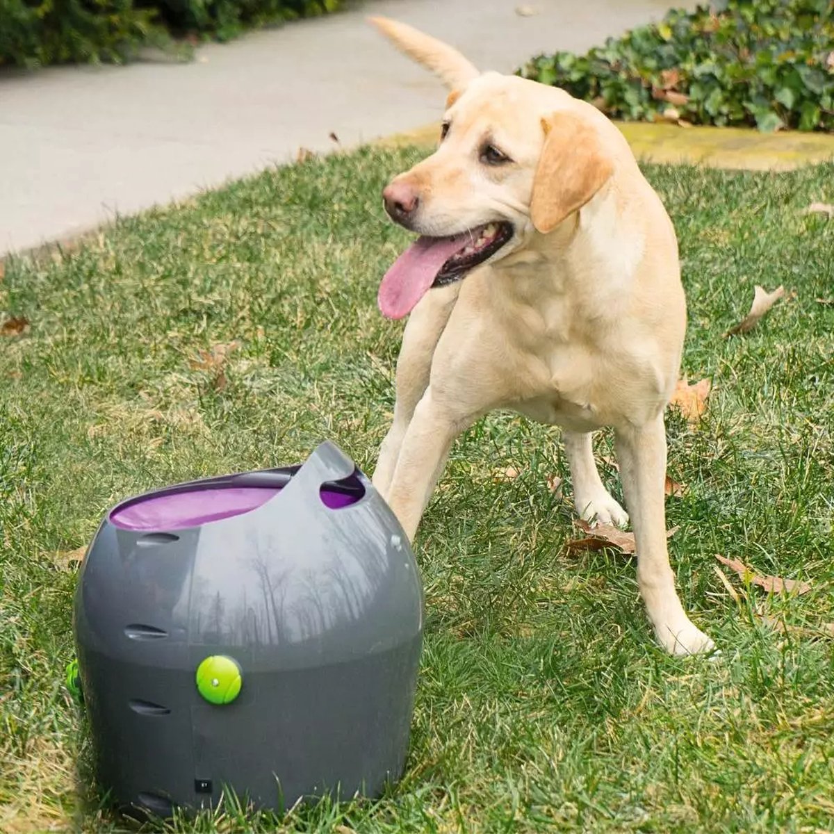 PetSafe Automatic Ball Launcher – Automatische Ballenwerper voor Honden