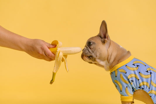 Mag een hond banaan?