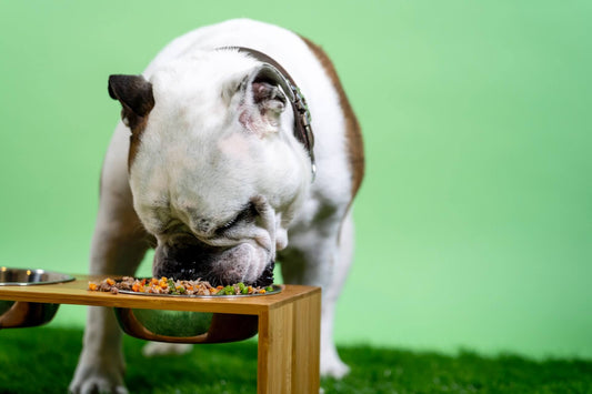 Overstappen naar ProfiPets brokken