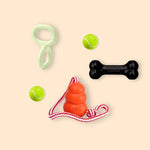 Spelen & Trainen hond