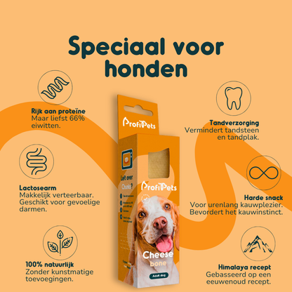 Cheese bone - yak kaas hond