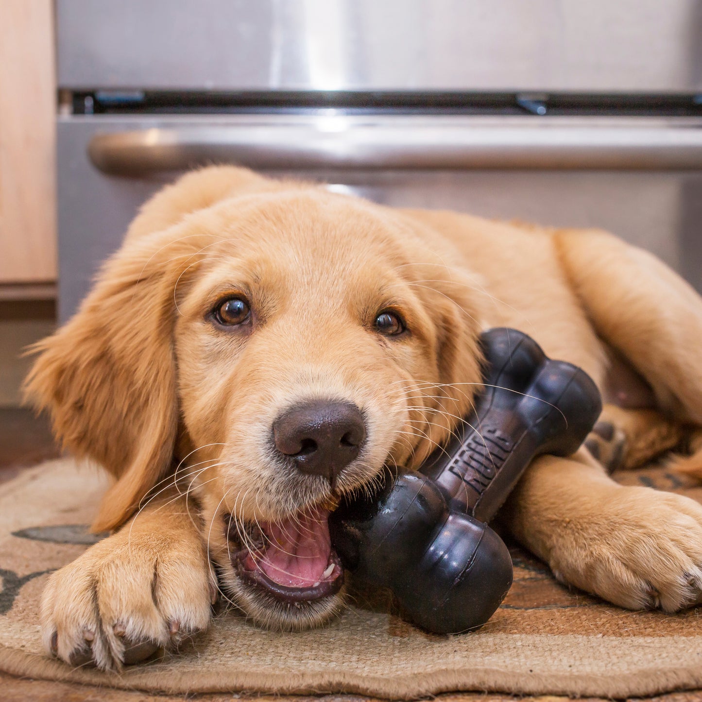 Kong Extreme Goodie Bone – Sterk Kauwspeelgoed voor Honden
